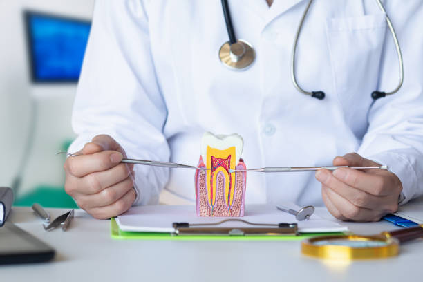 Best Emergency Wisdom Teeth Removal in Bainbridge Island, WA